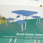 Blue picnic table set (Folds flat)